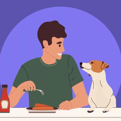 Pet Owners