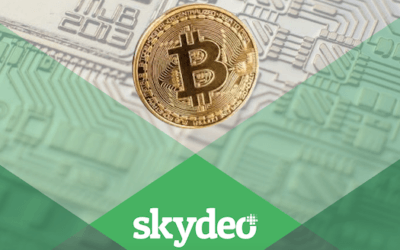 Who is using Bitcoin?  Skydeo Insights by Apps, Age, Gender & Net Worth
